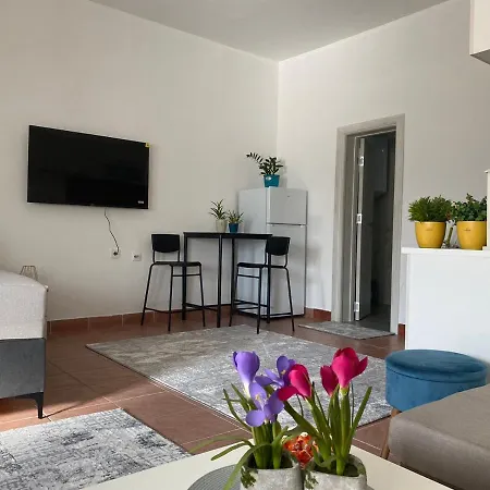 Olive Apartment Podgorica Exterior photo