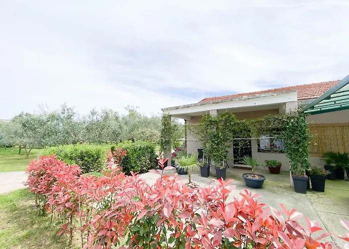 Olive Apartment
