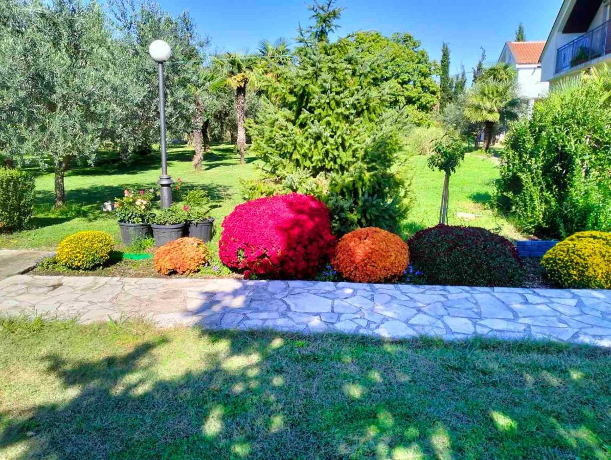 Appartement Olive Podgorica