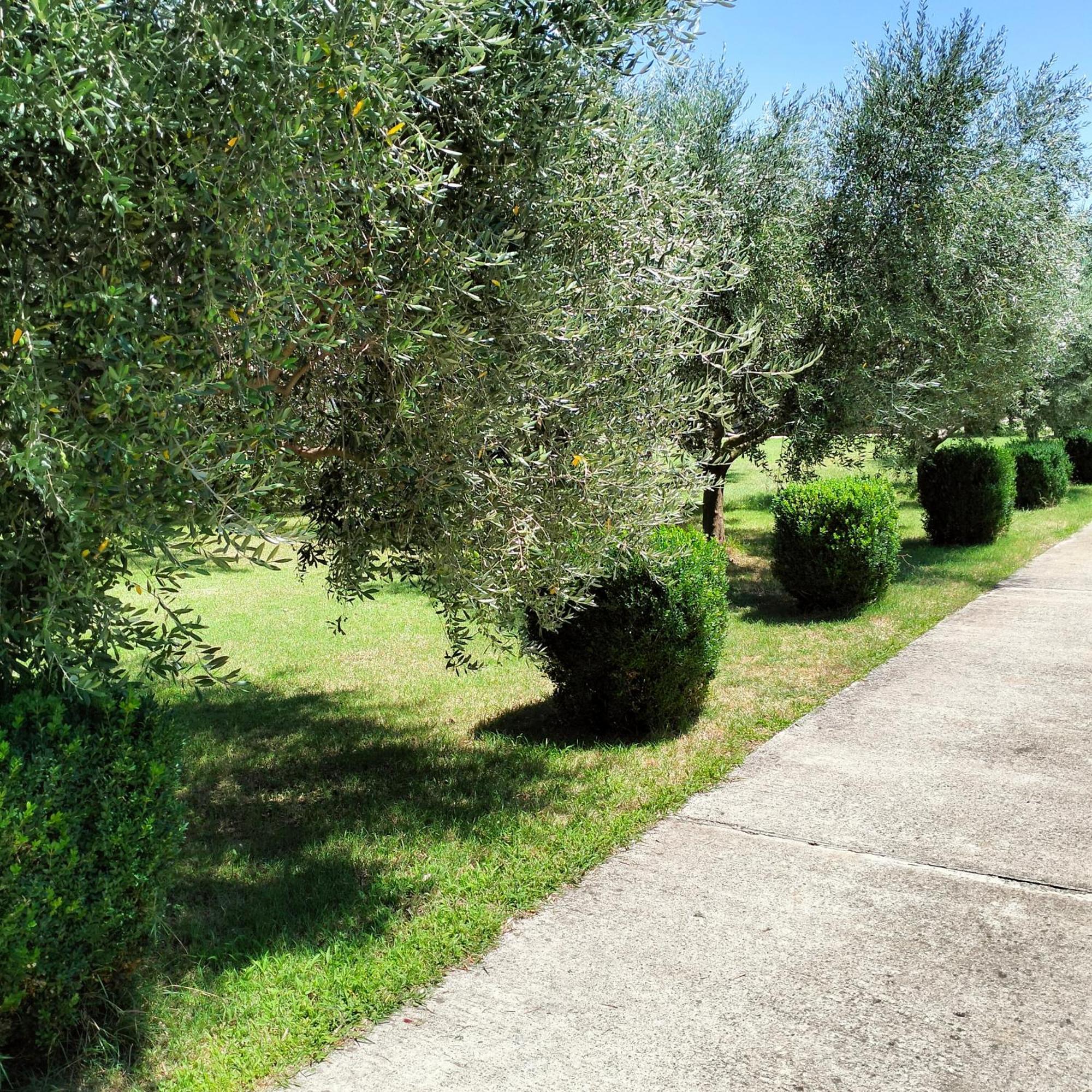 Appartement Olive Podgorica
