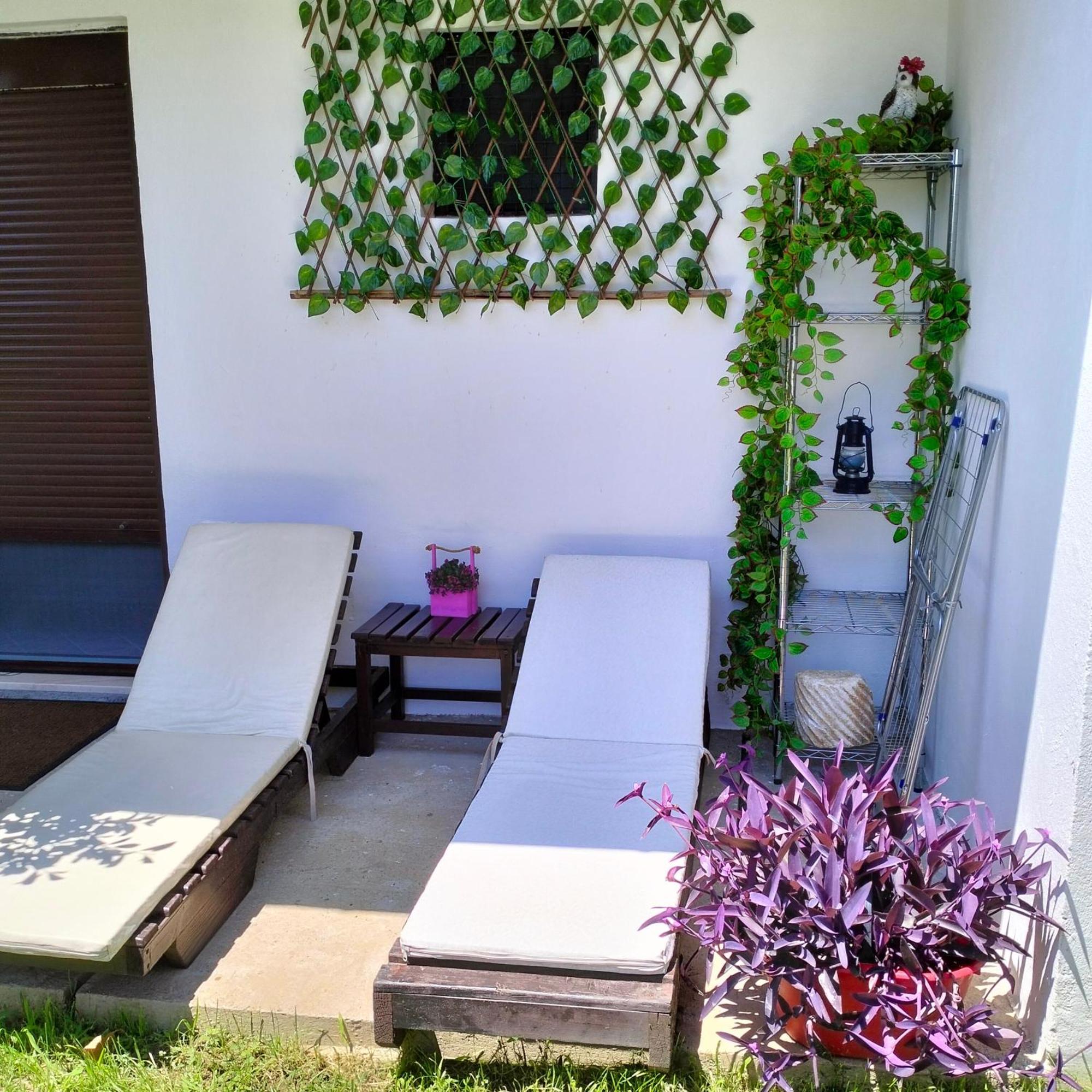 Appartement Olive *